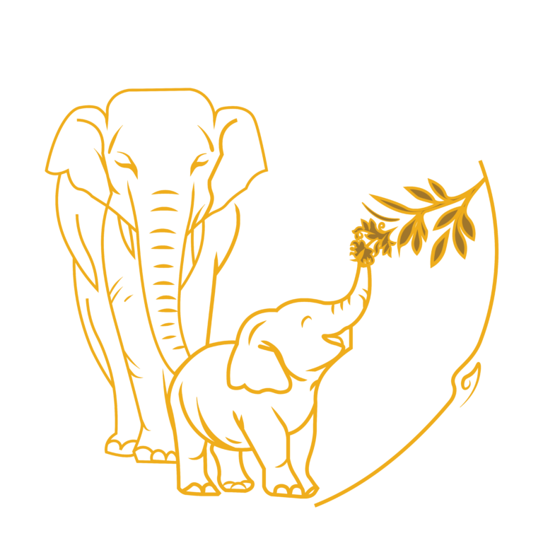 KTS Adventures Logo